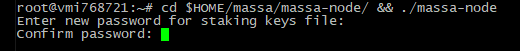 Installing the Massa node from the official binary